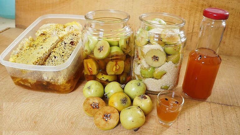 Những nguyên liệu cần chuẩn bị để ngâm táo mèo với mật ong hoặc đường. Đây là cách ngâm rượu táo mèo phổ biến nhất