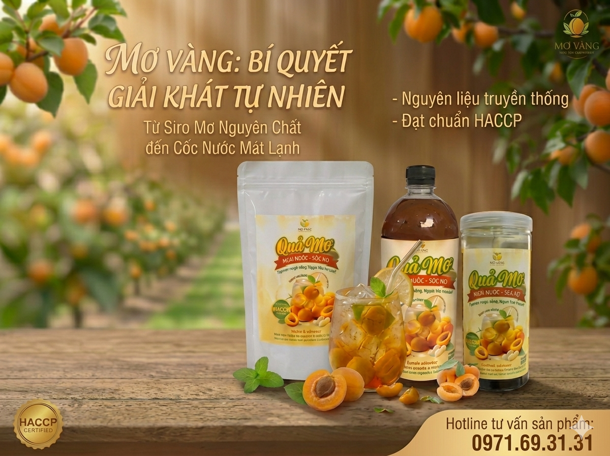 Quả Mơ Tươi Ngâm Đường Nguyên Chất Thơm Ngon